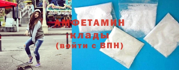 прущие грибы Балахна