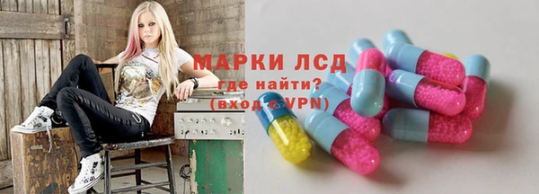 прущие грибы Балахна