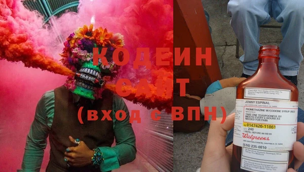 прущие грибы Балахна
