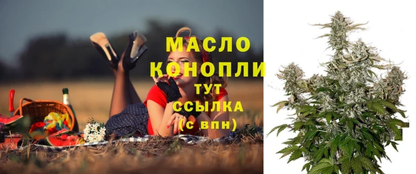 гидропоника Елабуга