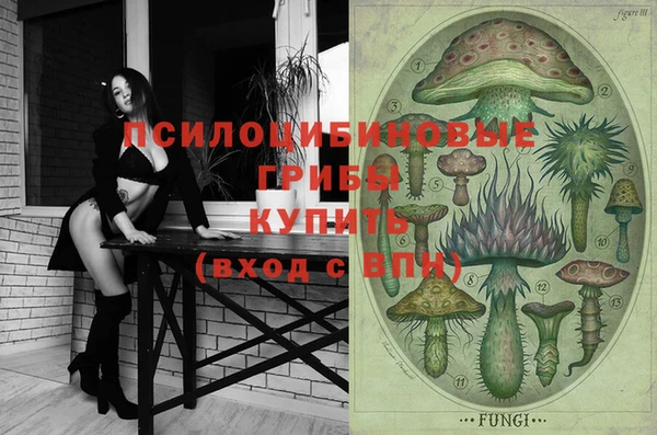 прущие грибы Балахна